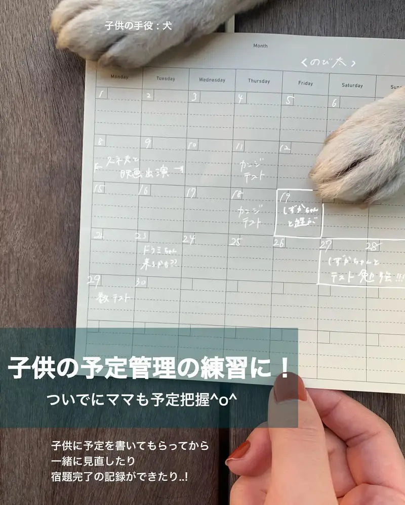 PAD NOTE / PROJECT PLAN – anteckningsbok | SIKIGU