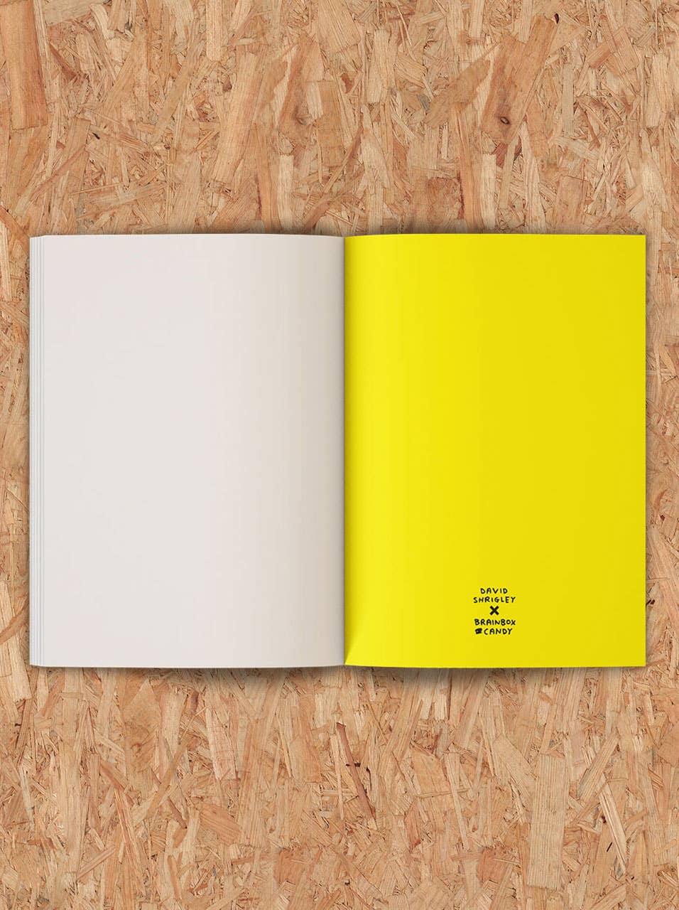 Skissbok - Art Will Save the World-A5 | David Shrigley