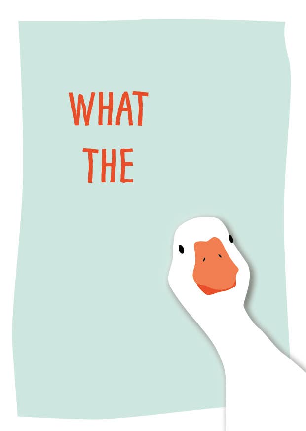 Vykort | What the Duck | Fritzante