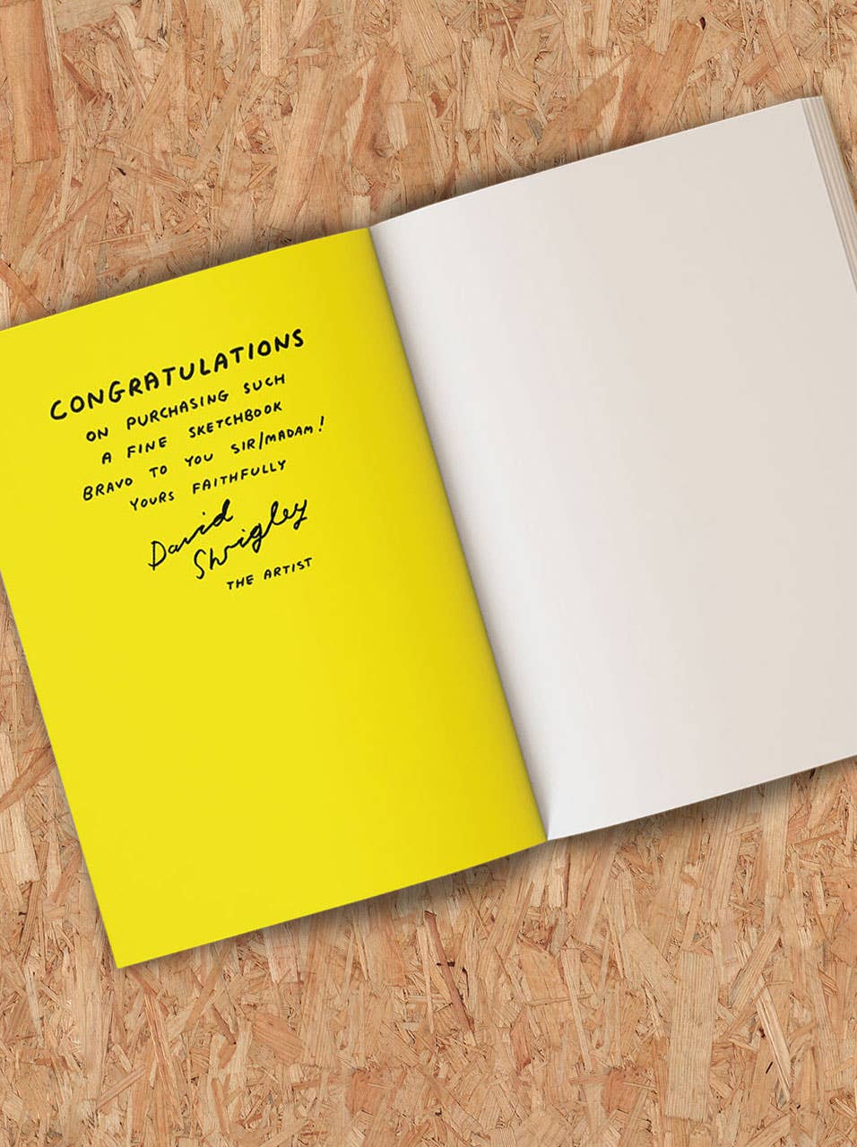 Skissbok -  Be an artist - A5  | David Shrigley